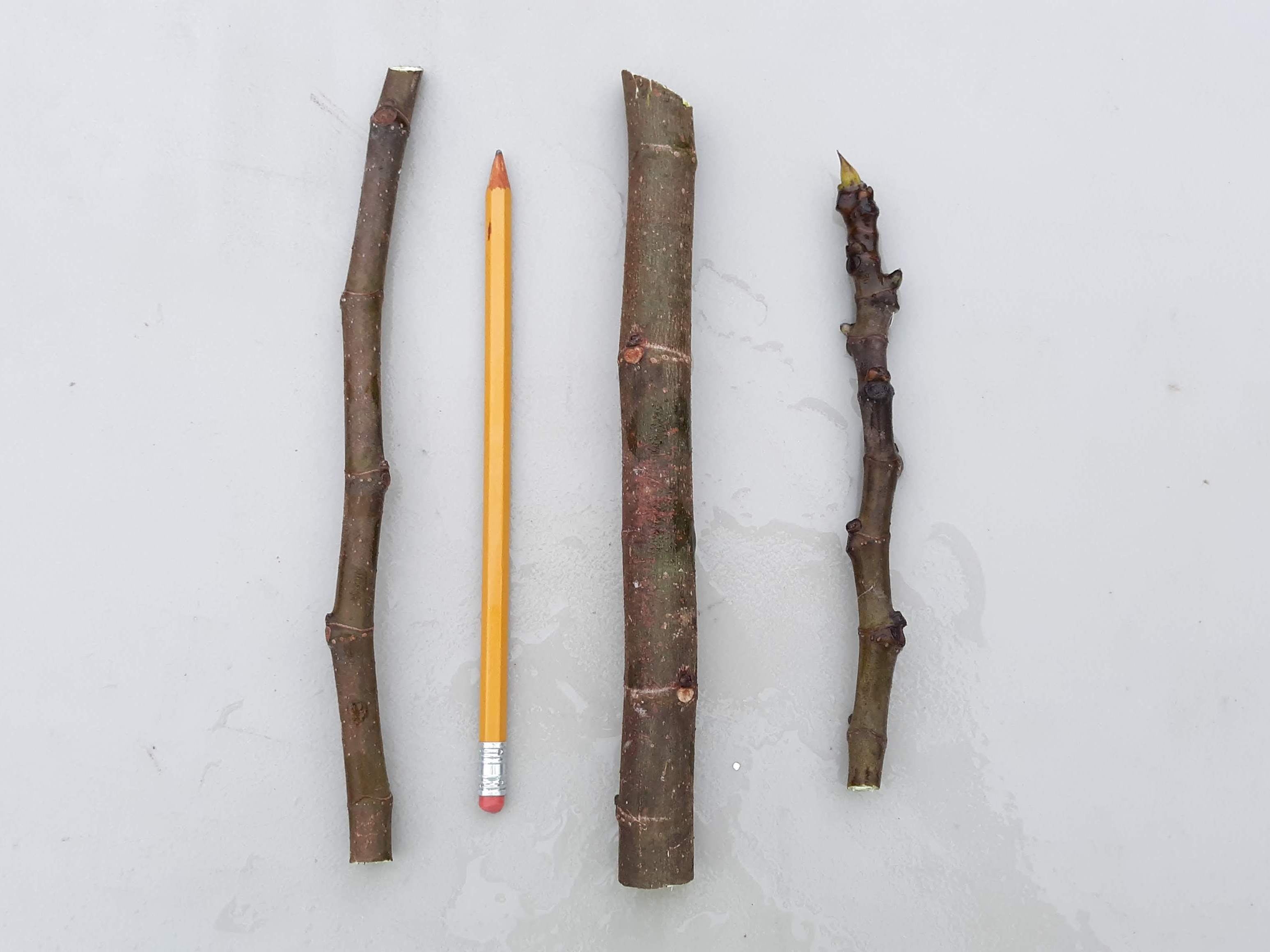 2angelsfarm.square.site